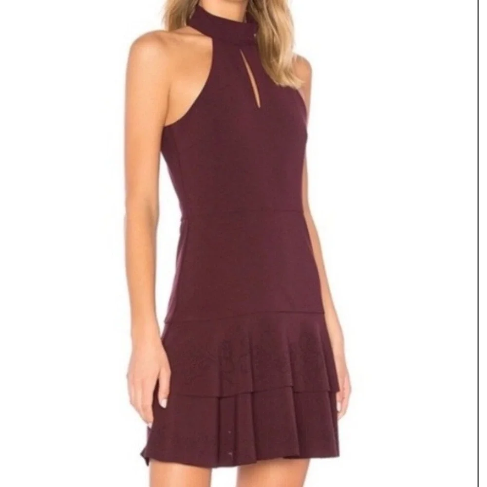 Parker Luana Women's 10 Mini Dress Sleeveless Laser Cut Design Tiered Burgundy E